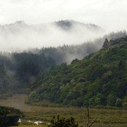 Fog2